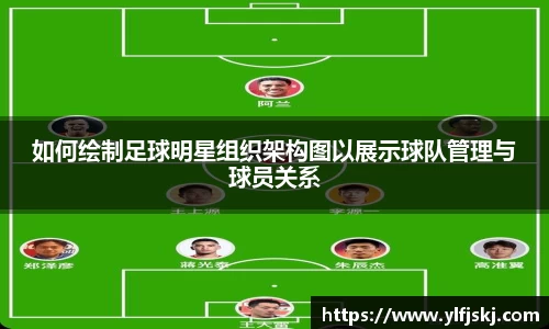 如何绘制足球明星组织架构图以展示球队管理与球员关系